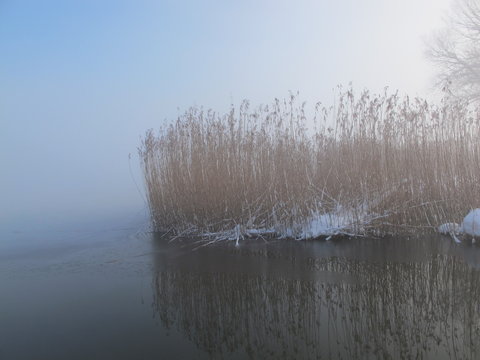 morgens am see
