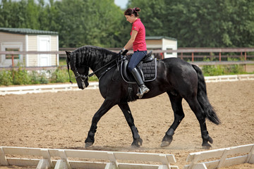Young dressage rider on black friesian horse