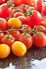 Bunte Tomaten