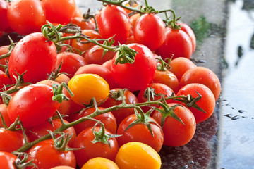 Bunte Tomaten