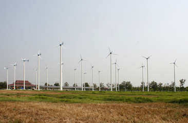 Fototapeta premium Windmills for electric power production
