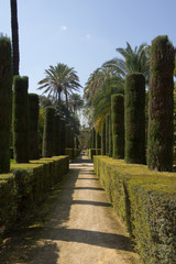 Obraz premium Garden Alcazar Palace