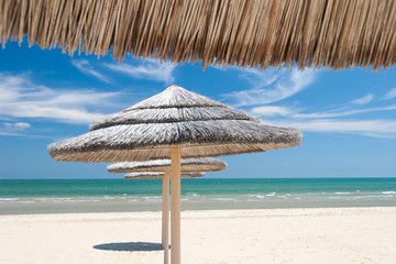 Umbrellas on the beach