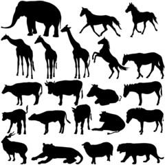 Set  silhouettes animals in zoo collection on a white background