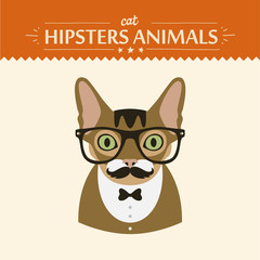 Fashion Portrait of Hipster Cat with glasses and bow