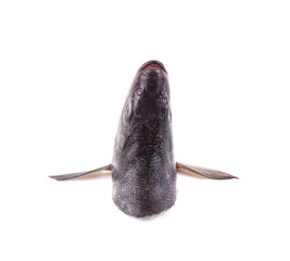 fish's head