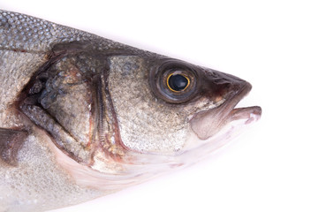 fish's head