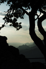 Desert view im Abendlicht am Grand Canyon, USA