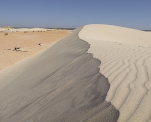 dunes at Eucla, Nullarbor, Western Australia