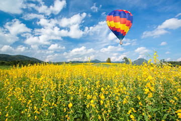 Hot air balloon over yellow flower fields against blue sky