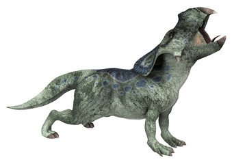 Dinosaur Protoceratops