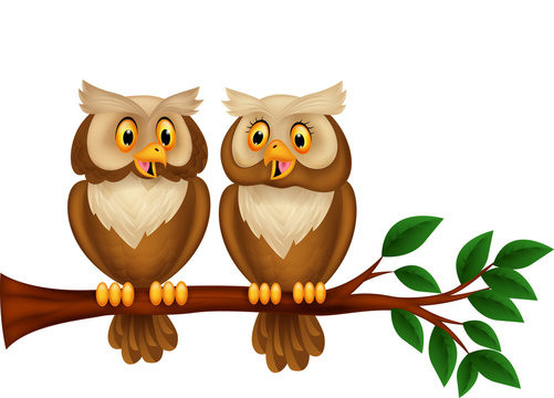 Cartoon couple owl on a branch