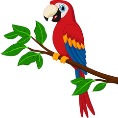 Cartoon red parrot on a branch