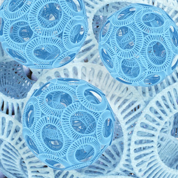 Coccolithophoriden - 3d Render