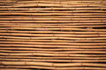 Bamboo texture