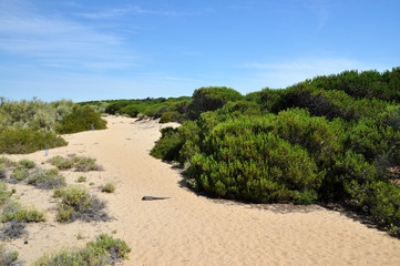 Punta Umbria - Costa de la Luz - dunes