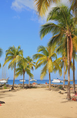 Obraz premium Pointe du Bout beach. Martinique