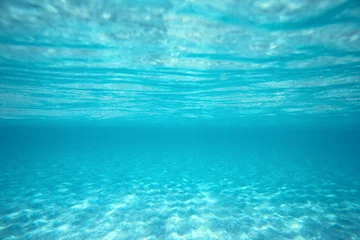 Abwaschbare Fototapete underwater © Pakhnyushchyy