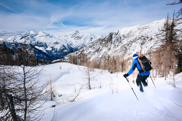 Fototapeta na wymiar Winter sport: man skiing in powder snow.