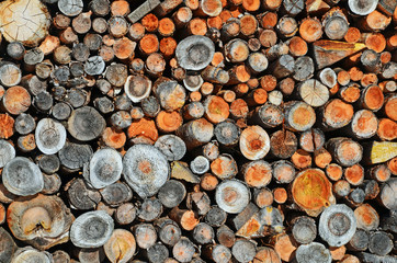 holz, brennholz, energie