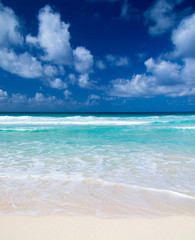 Fototapeta premium beach