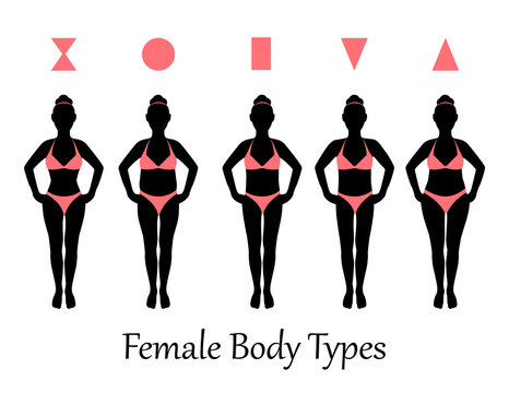 silhouettes of various types of female figures