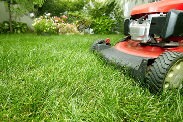Obraz premium Lawn mower.