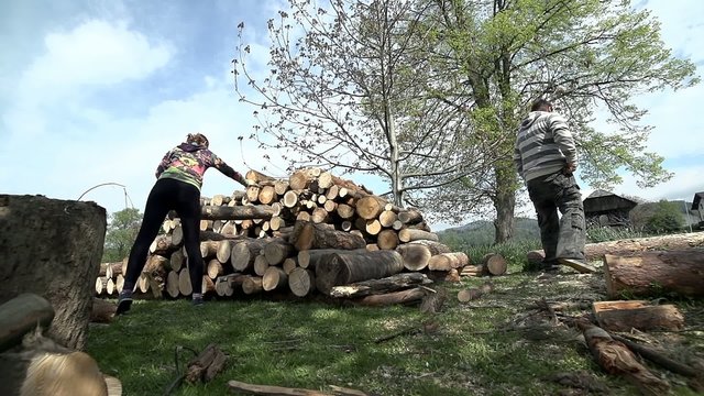 Throwing log on pile of timber low angle wide shot