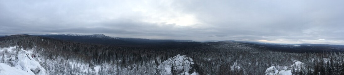Winter landscape panorama - forest and snow