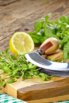 fresh and chopped herbs on cutting board