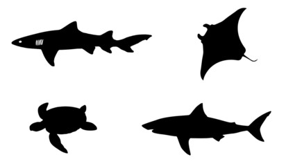 Animaux marins en 4 icônes