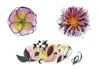 watercolor beautiful flowers with leaves