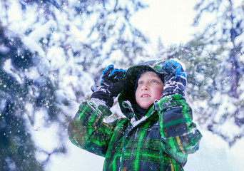 Boy in snowy forest