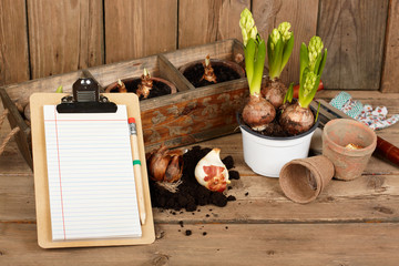 notebook on the background of plants