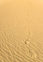 Footprints through desert