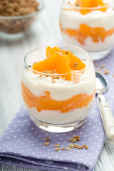 Joghurt mit Mandarinen