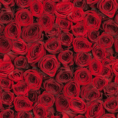 seamless roses background