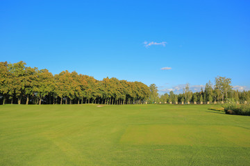 Fototapeta na wymiar Golf course in Mezhyhirya residence
