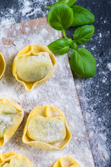 Home cooking, freshly made ravioli italian pasta
