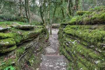 Obraz premium The Maze - tectonic fault in Caucasian biosphere reserve, Sochi