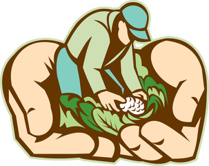 Obraz premium Hands Holding Organic Farmer Produce Retro