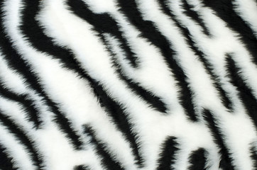 Fototapeta na wymiar Black and white fur zebra pattern. Animal print as background.