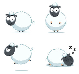 Sheep set