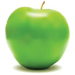 Green Apple Vector