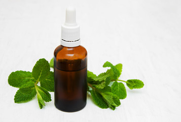 Bottle of mint oil and fresh mint