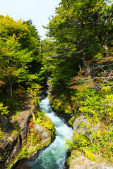 Fototapeta premium Flow of Yukawa river