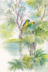 Fototapeta premium Colorful parrots in jungle