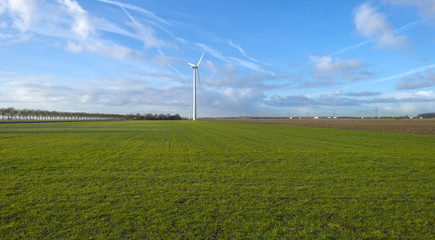 Fototapeta na wymiar Wind turbine in a meadow