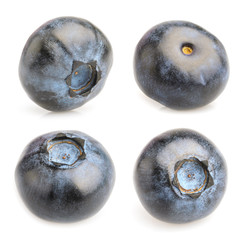 Collage of blueberries on isolated on white background