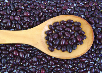Closeup of uncoocked red beans on wooden spoon. Gernika beans.